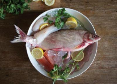 راه هایی برای تشخیص ماهی سالم و تازه
